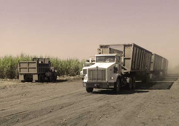 Servicio de Transporte